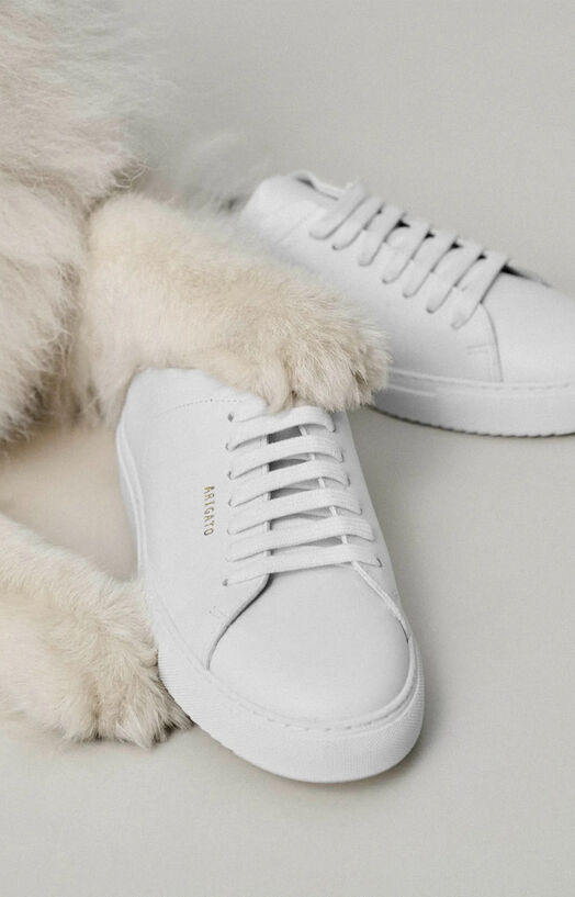 March 2026 Shoes plp