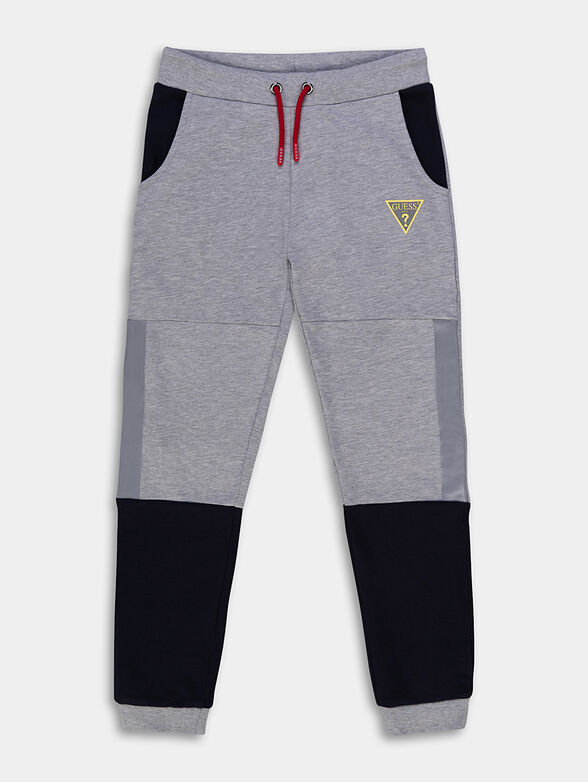 Grey sports pants with dark blue accents - 1