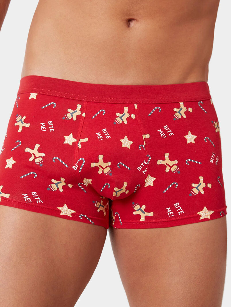 GINGER BREAD FAMILY trunks with Christmas motifs - 3