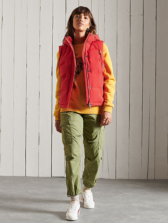 EVEREST black vest - 2