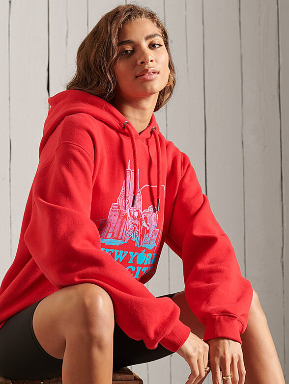 ANA Hooded sweatshirt in dark grey - 4