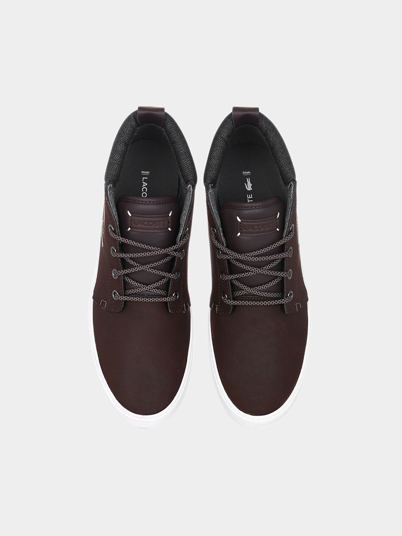 Lacoste ampthill terra 318 online