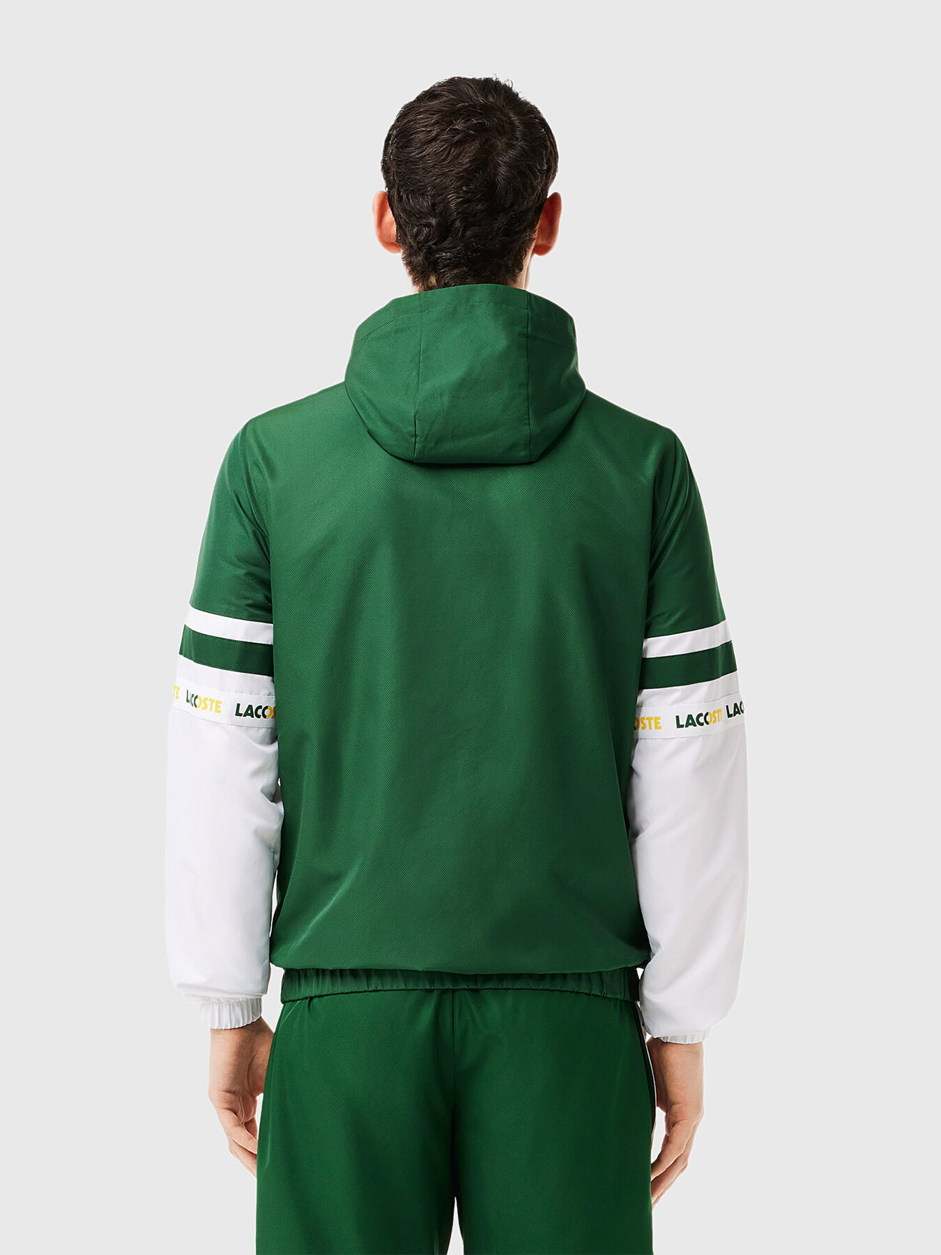 Jacket with logo accents in blue color brand LACOSTE