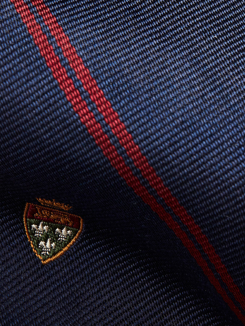 Tie with Preppy design - 3