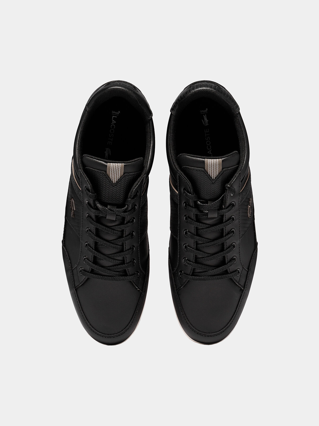 CHAYMON 319 Sports shoes brand LACOSTE Globalbrandsstore en