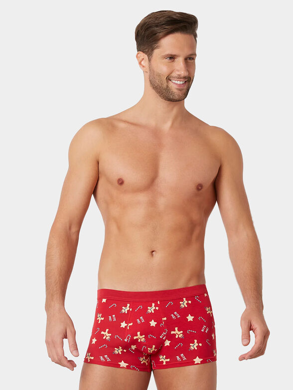 GINGER BREAD FAMILY trunks with Christmas motifs - 1