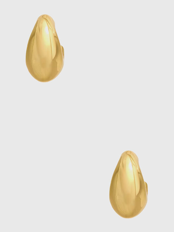 Gold earrings - 1