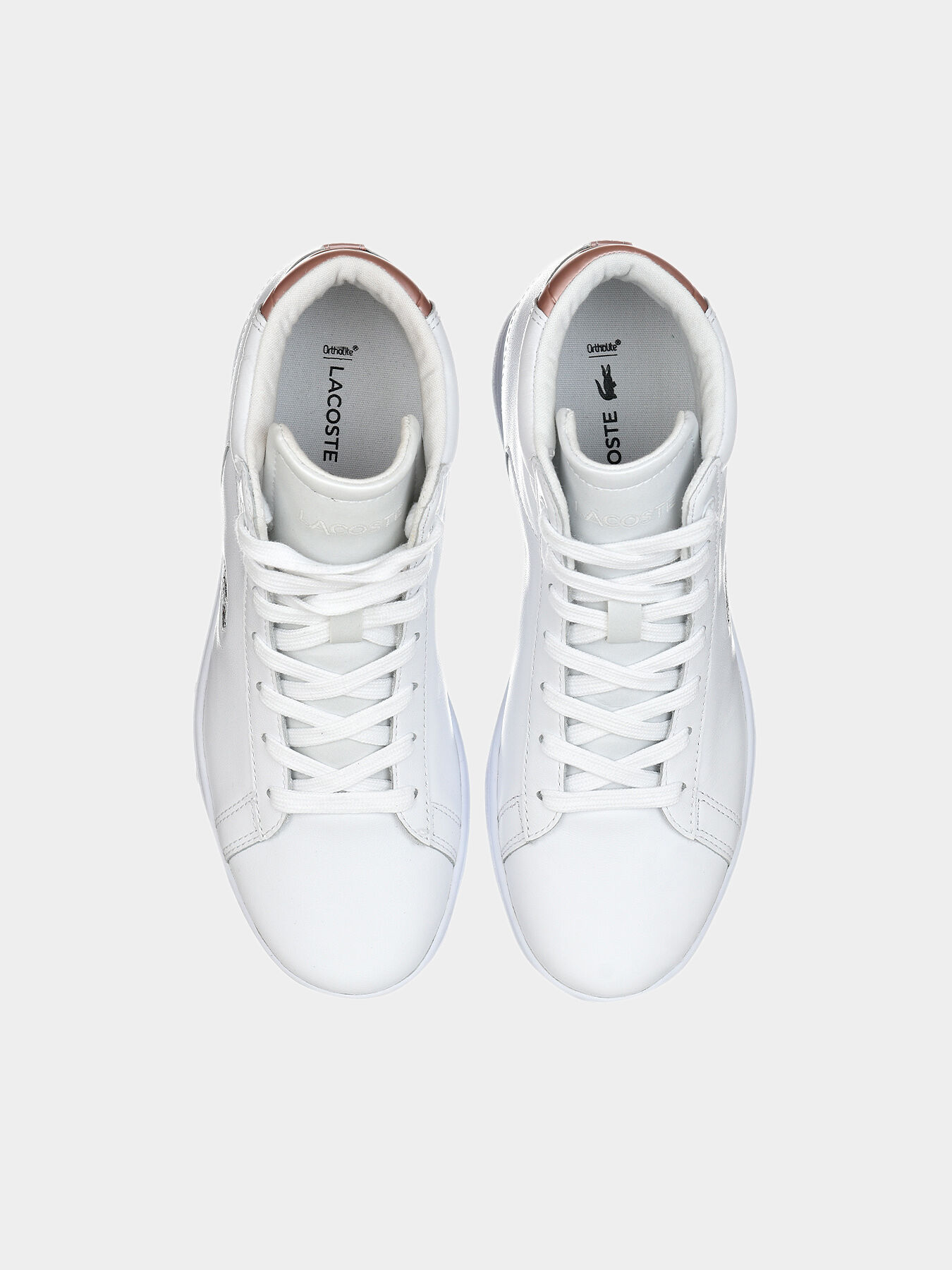 CARNABY EVO WEDGE 317 High sneakers brand LACOSTE Globalbrandsstore en