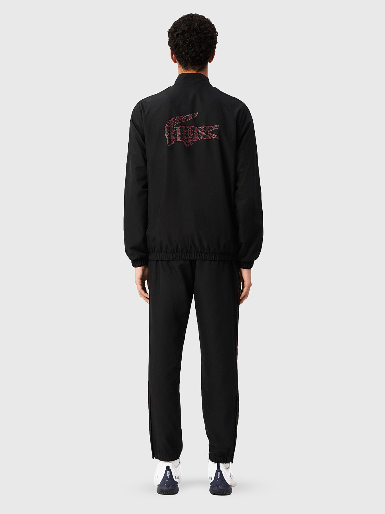 Tennis Tracksuit brand LACOSTE — Globalbrandsstore.com/en