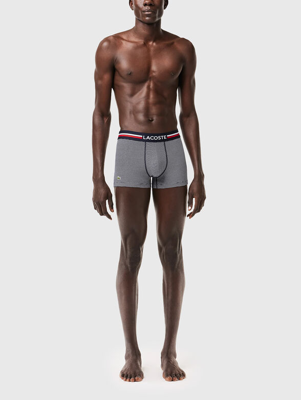 Set of three boxers - 2