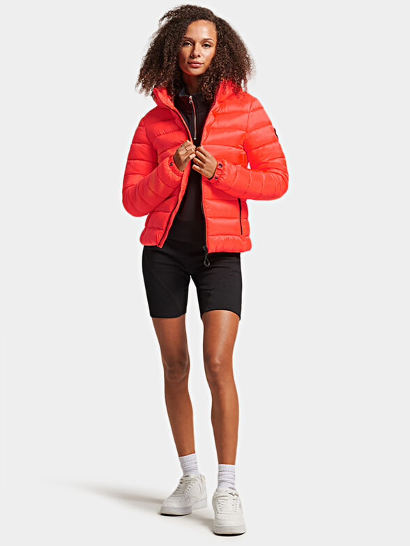 CLASSIC FUJI padded hooded jacket - 2