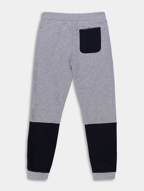Grey sports pants with dark blue accents - 2