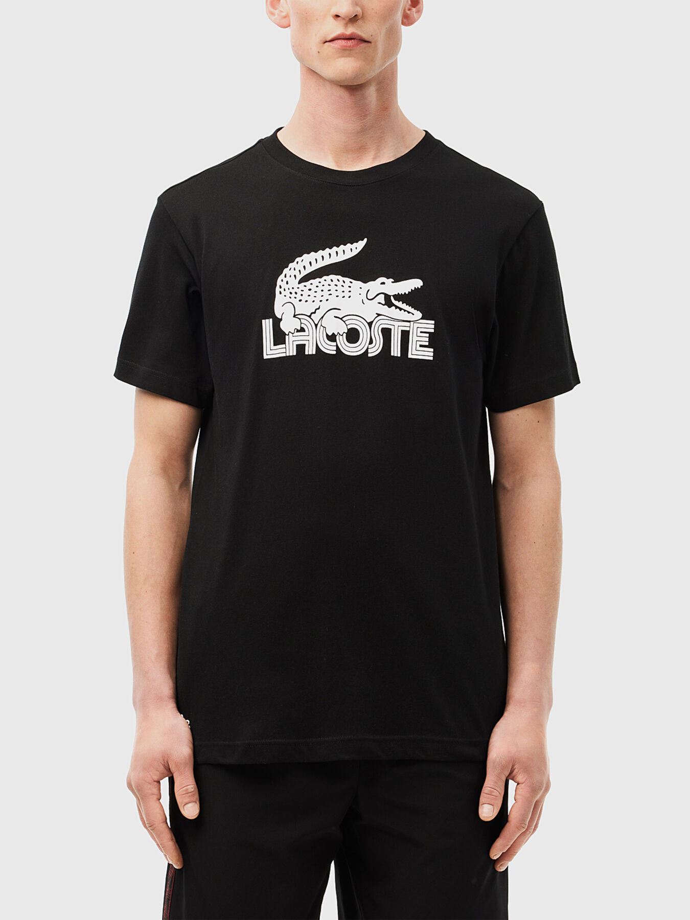 T-shirt with logo print brand LACOSTE — Globalbrandsstore.com/en