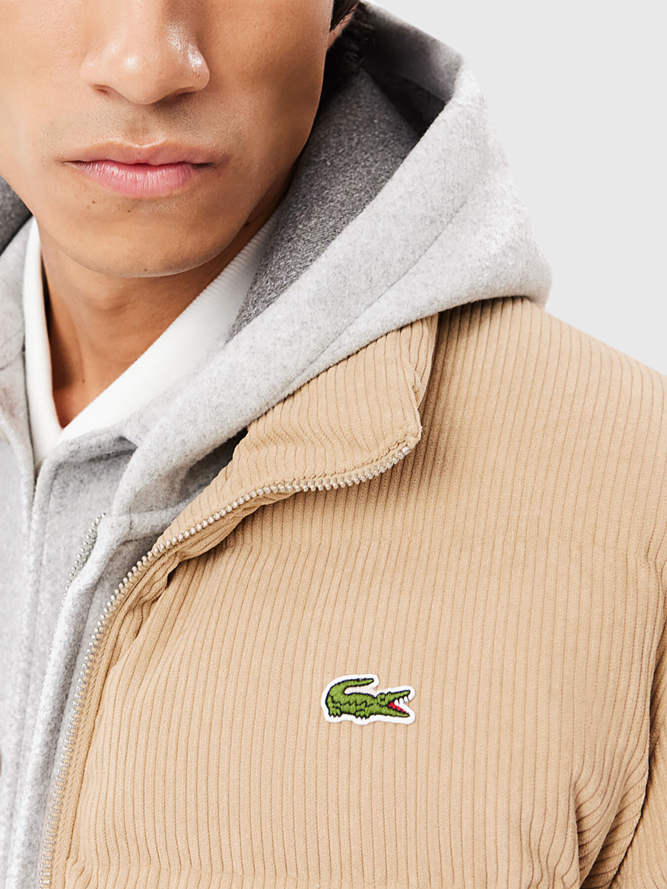 Fluffy jacket in beige brand LACOSTE — Globalbrandsstore.com/en