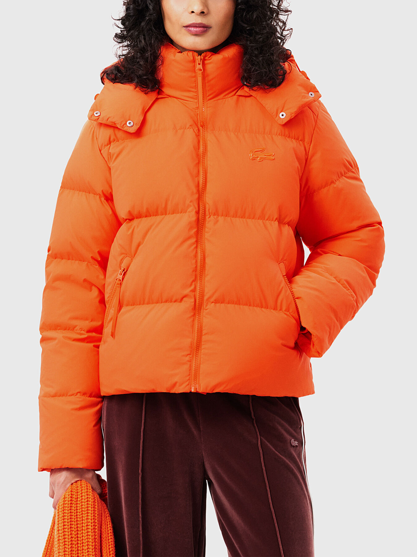 Padded jacket with logo brand LACOSTE — Globalbrandsstore.com/en