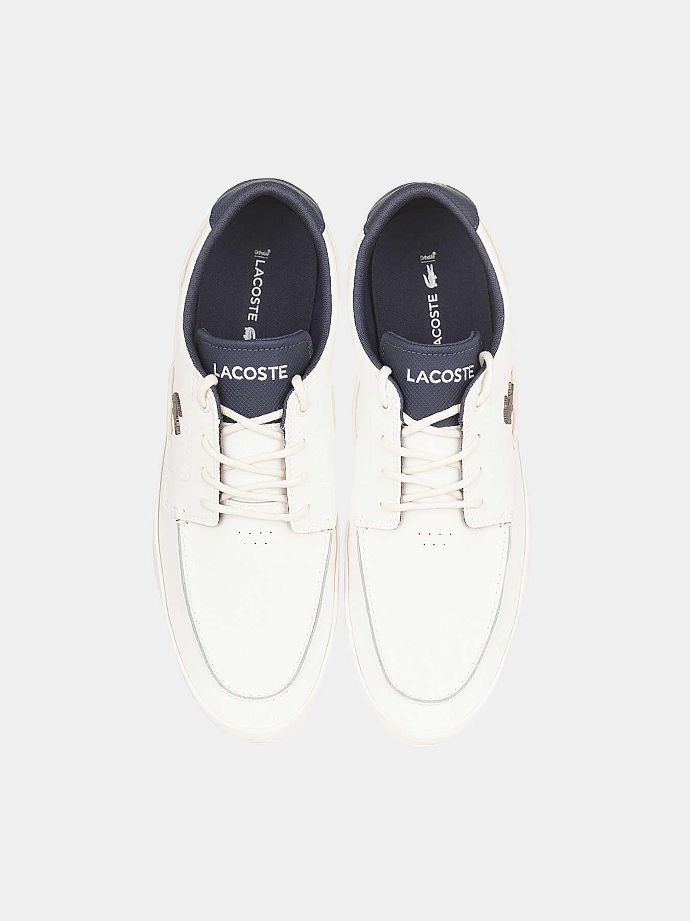 Lacoste marina 119 cheap