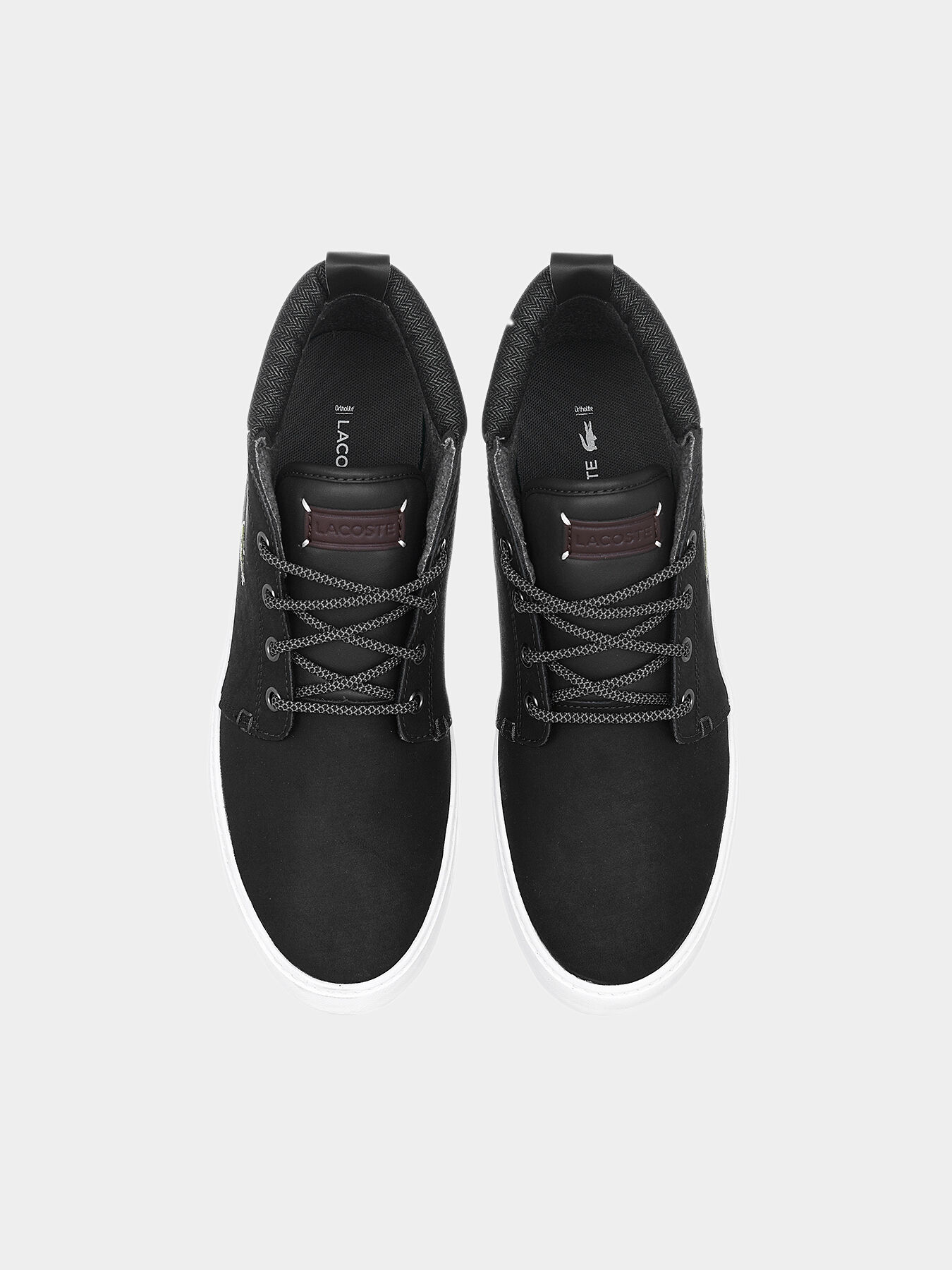Lacoste ampthill deals terra 318