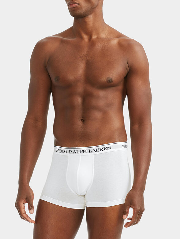 3 Pack trunks - 5