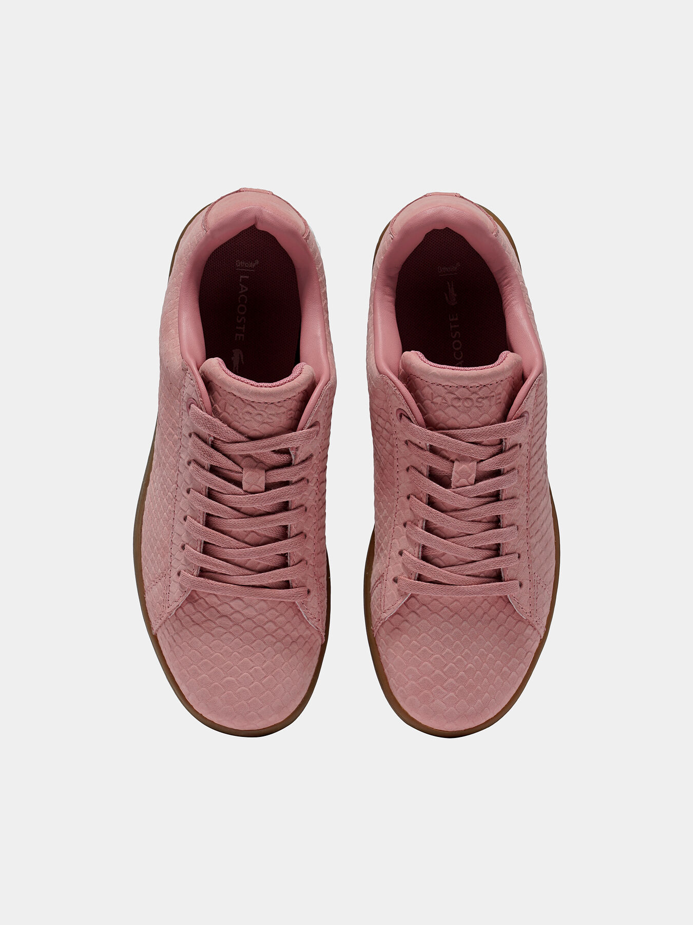 Lacoste carnaby evo pink outlet