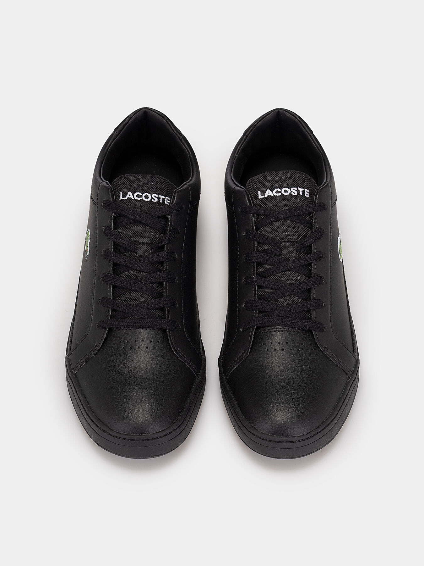 CHALLENGE black sports shoes brand LACOSTE Globalbrandsstore en