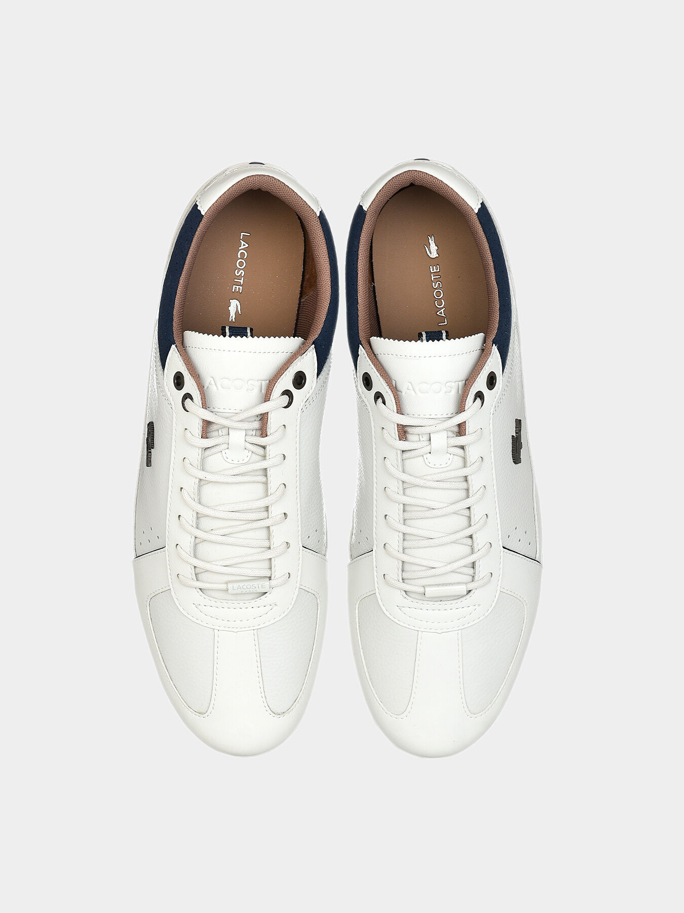 Lacoste evara white online