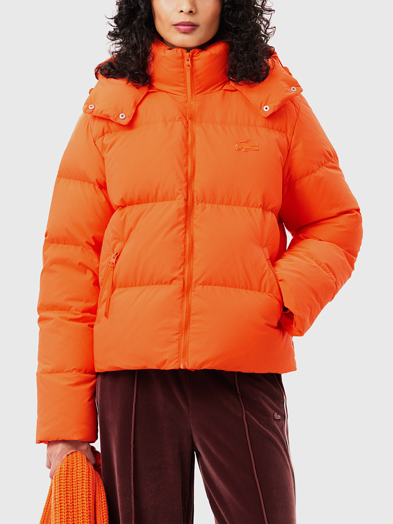 Padded jacket with logo brand LACOSTE — Globalbrandsstore.com/en